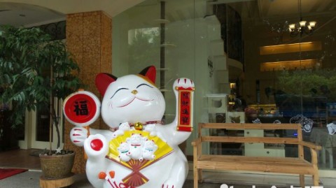新手开猫主题店开店流程投资选址避坑全攻略