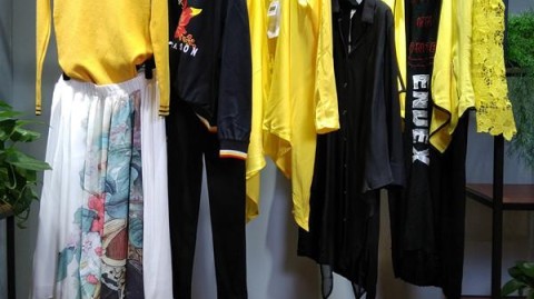 新手开自由主题服装店开店攻略：投资预算进货流程到盈利全解析