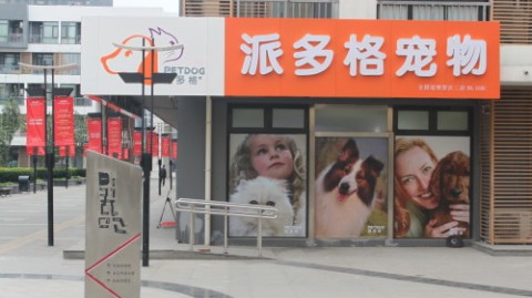 开宠物店避坑赚钱攻略：2026年开店选址进货全流程