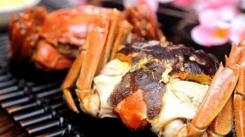 新手开蟹主题餐厅开店流程：投资多少钱+利润+选址技巧全攻略（附进货渠道+避坑指南）