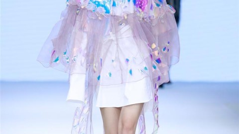 新手开蓝色服装店开店流程+投资多少钱，2026年详细避坑攻略