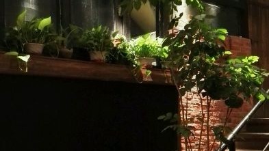 新手开主题养生馆避坑指南！投资利润选址全拆解