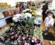 开慕巴夫鲜花烘焙店多少钱？2026投资预算+全流程开店攻略（附避坑干货）