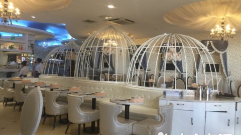 新手开音乐主题餐厅加盟店：投资50万内回本秘籍+避坑指南（2026版）