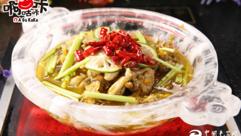 蛙主义主题餐厅加盟开店攻略：新手投资利润避坑全流程