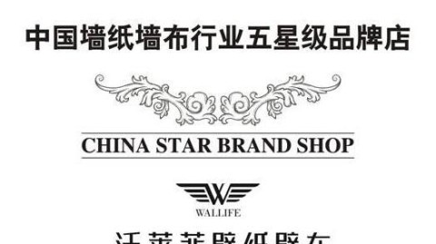 开沃莱菲主题墙布店必看：开店流程+避坑指南+投资预算（30万起创业方案）