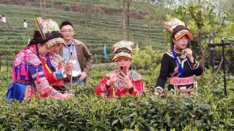 新手开茶饮店必看：预算、选址、进货到利润全流程