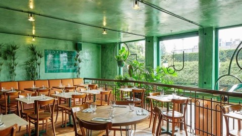 开热带雨林主题餐厅开店流程+避坑：投资多少钱利润选址技巧与进货渠道（2026版）