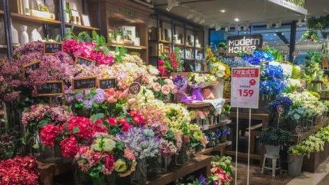 开花店全攻略：选址进货利润避坑指南