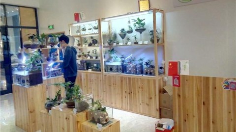 开茶叶店开店流程：2026醉全攻略，投资预算、选址技巧与利润揭秘