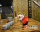 开武侠主题美甲店投资多少钱？2026开店流程+利润+选址技巧避坑（风波庄风格）