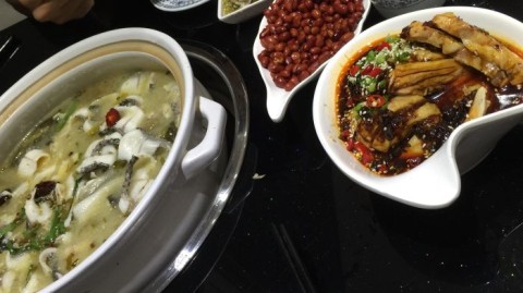新手开鱼主题餐饮店开店流程与避坑指南(鱼主题餐饮开店流程+新手开店避坑+鱼主题餐饮投资多少钱)