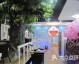 开动漫主题餐厅开店流程避坑：30万预算起，谷子进货+漫展引流赚钱