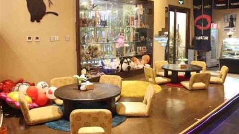 新手开餐饮店选址避坑+投资多少钱，日赚2000元真实利润率详解