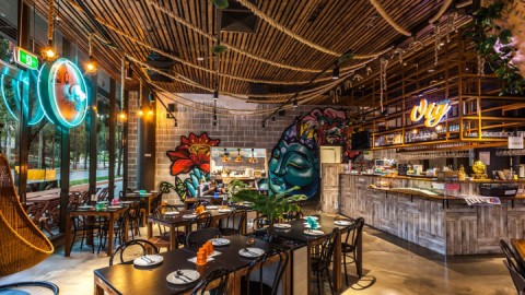 新手开主题餐饮加盟店避坑指南：投资+流程+利润（2026版）