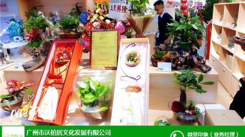 新手开茶叶店开店流程避坑：从3万起步到月入过万的全案实操（新手必收）