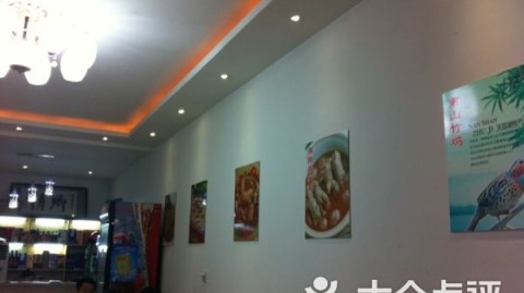 新手开主题鱼馆店：观背青鳉全攻略