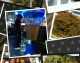 烧脑！未央夜宴烧烤主题餐厅开店全攻略：避坑精准选址、投资预算营利模型、装修、办证全指南