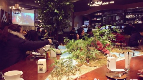 开新西兰主题餐厅开店流程与投资预算