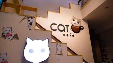 新手开茶叶店开店流程：投资+选址+装修+进货+避坑（2026版）