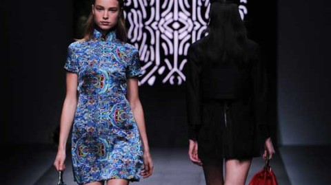 《蝴蝶主题服装开店全攻略：投资预算+选址避坑，6个月回本实操指南》