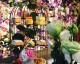 开花艺主题餐厅店全攻略：从投资预算到合法合规，少走90%弯路