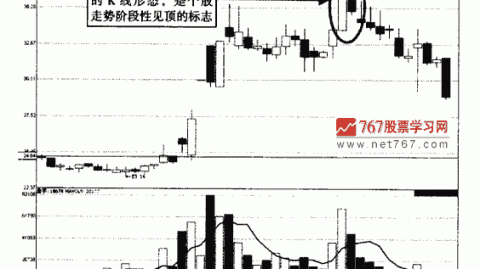沪漂广告人转行美甲：月入6万，开店赔了一年才明白选址定生死