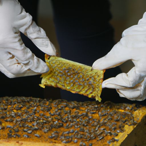 蜂产品代理蜂产品代理及蜂产品代理加盟：如何选择优质蜂产品品牌 蜂产品代理加盟