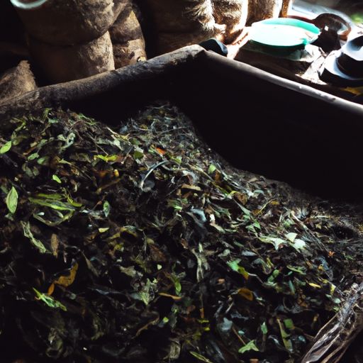 茶工坊探访惠明茶工坊：品味正宗的中国茶文化 惠明茶工坊图1