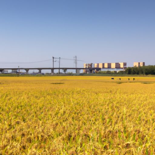 北大荒米业北大荒米业集团有限公司：中国最大的粮食加工企业之一 北大荒米业集团有限公司
