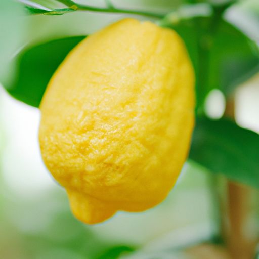 林香柠林香柠手打柠檬茶官网——品尝自然鲜香，享受健康生活